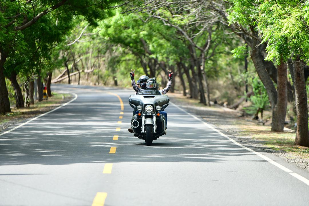 HOG_3004.JPG