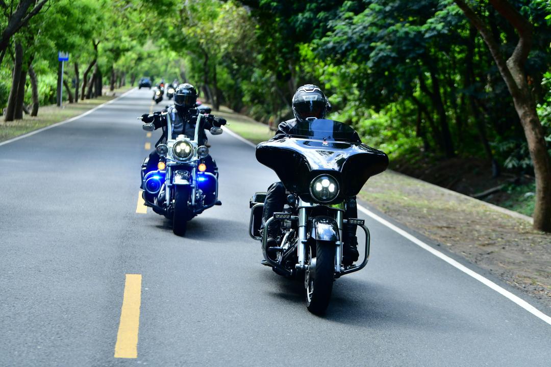 HOG_3031.JPG